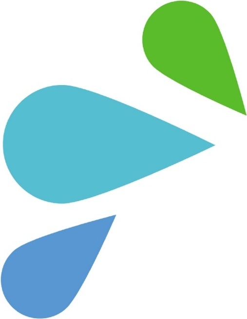 FLOWii logo